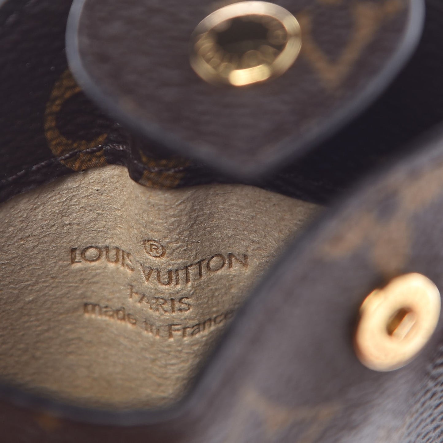 Monogram Sunglasses Case MM