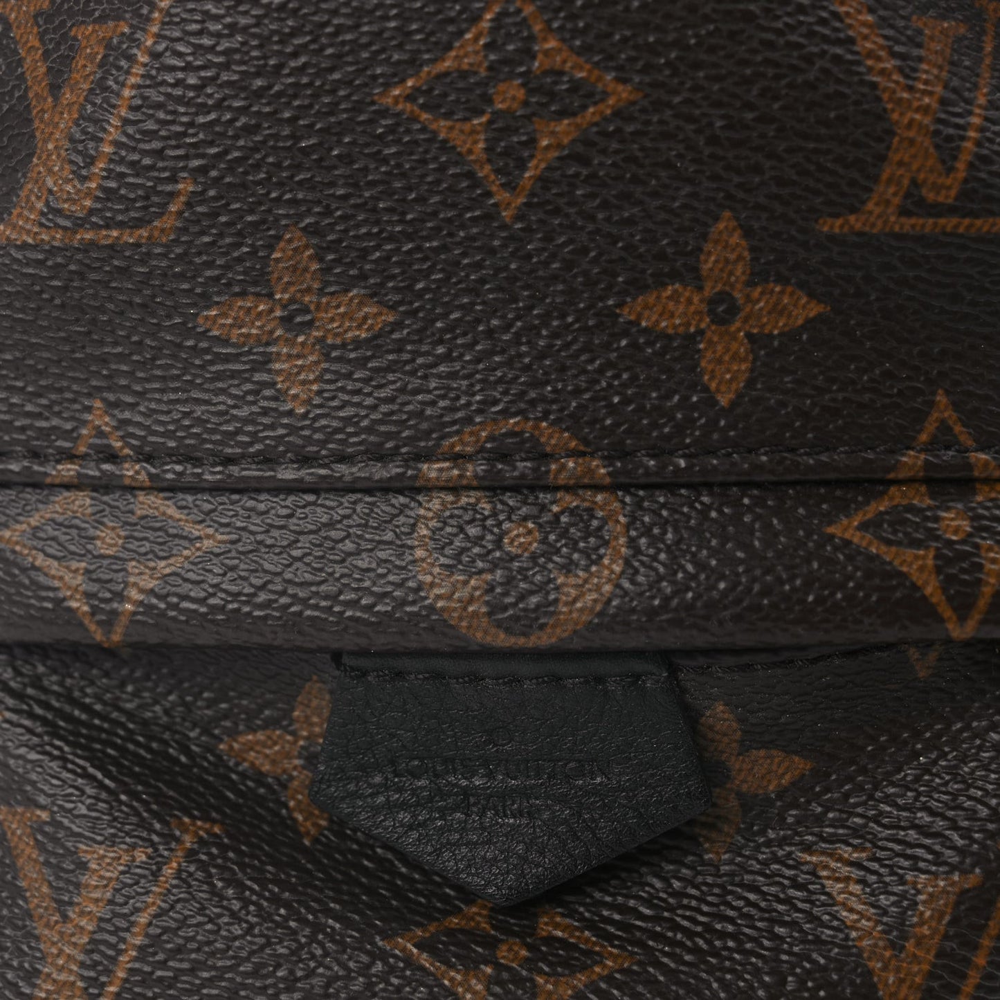 Monogram Palm Springs Backpack Mini