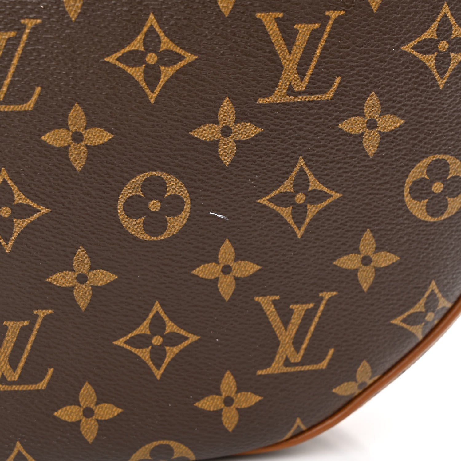 Louis Vuitton Reverse Monogram Loop Hobo 12 of 12