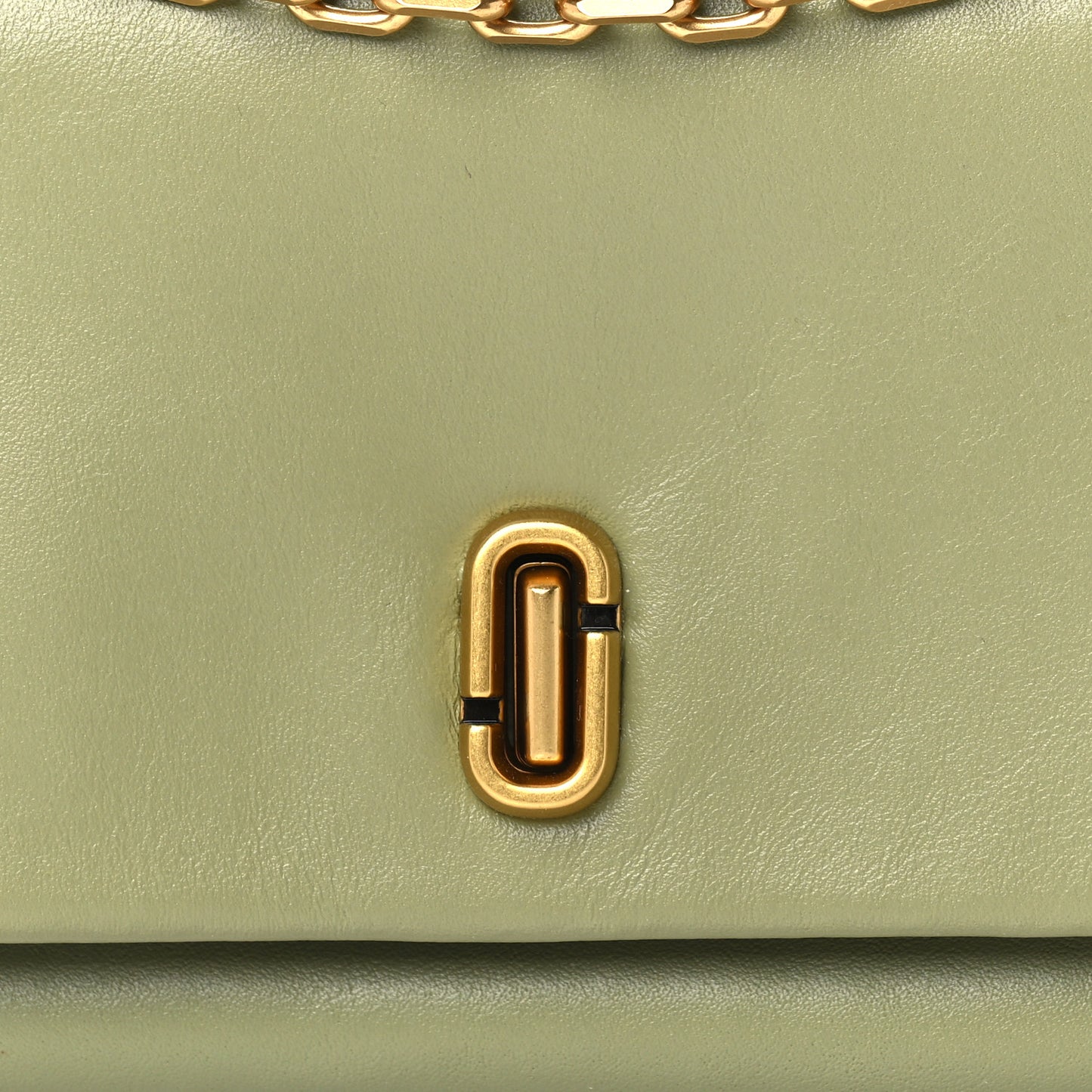 Calfskin Mini Dual Chain Bag Green