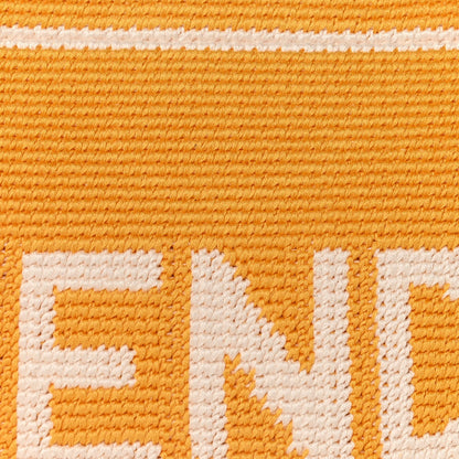 Fendi Crochet Vitello King Logo Plexiglass Medium  Sunshine Shopper Tote Mimosa Panna 6 of 8