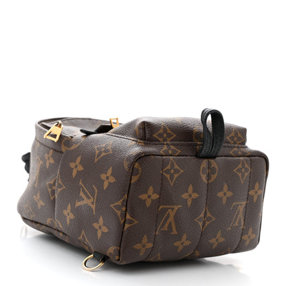 Louis Vuitton Monogram Palm Springs Backpack Mini 4 of 14