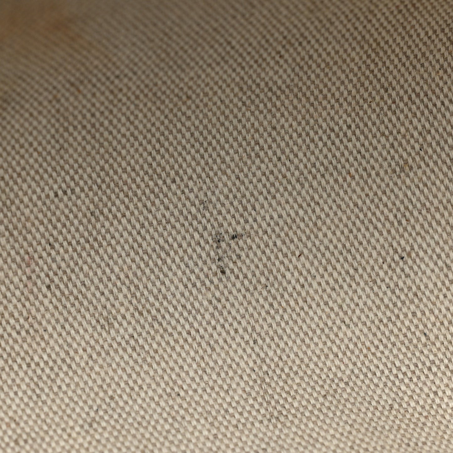 Canvas Embroidered XS Antigona 4G Black