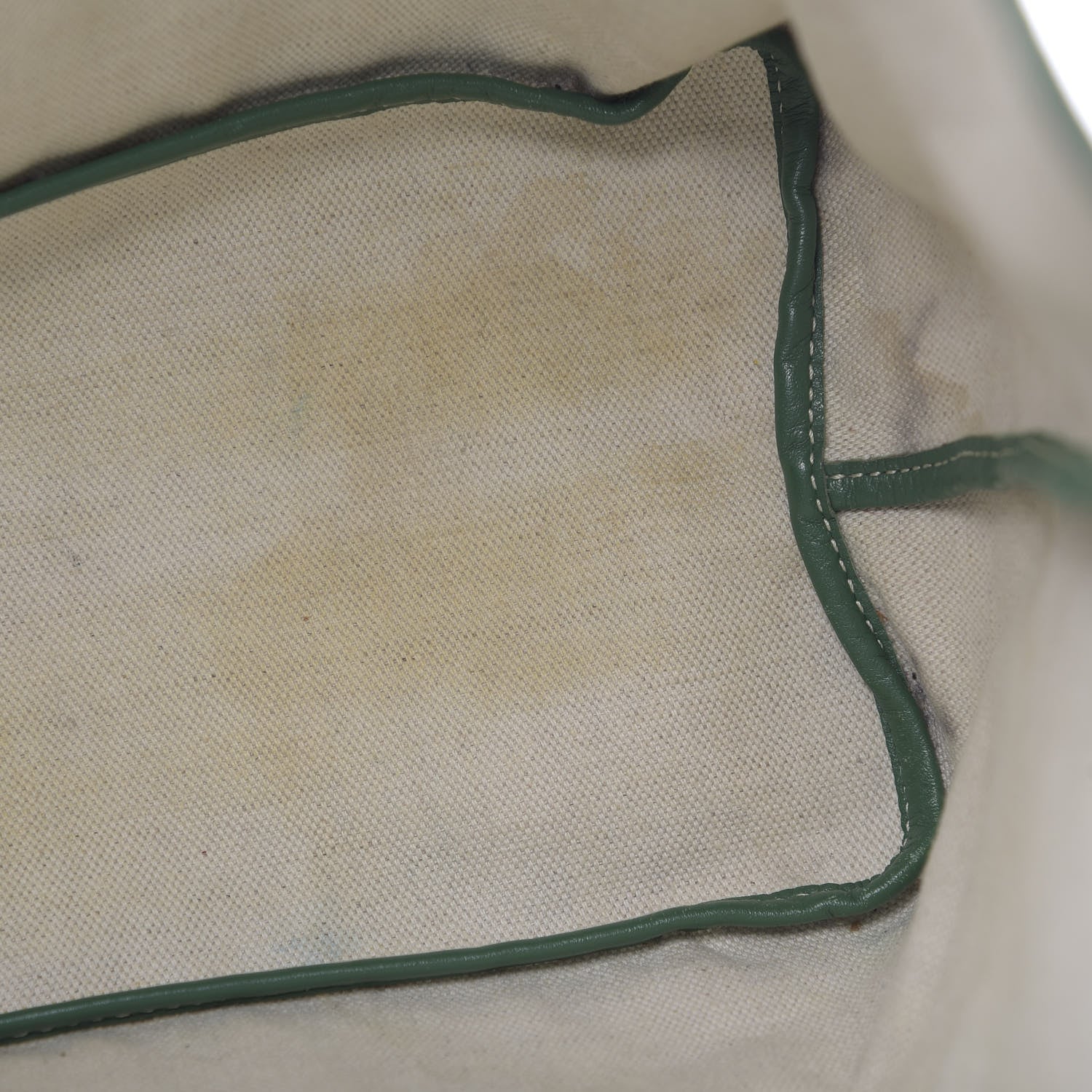 Goyard Goyardine Saint Louis PM Green 10 of 13