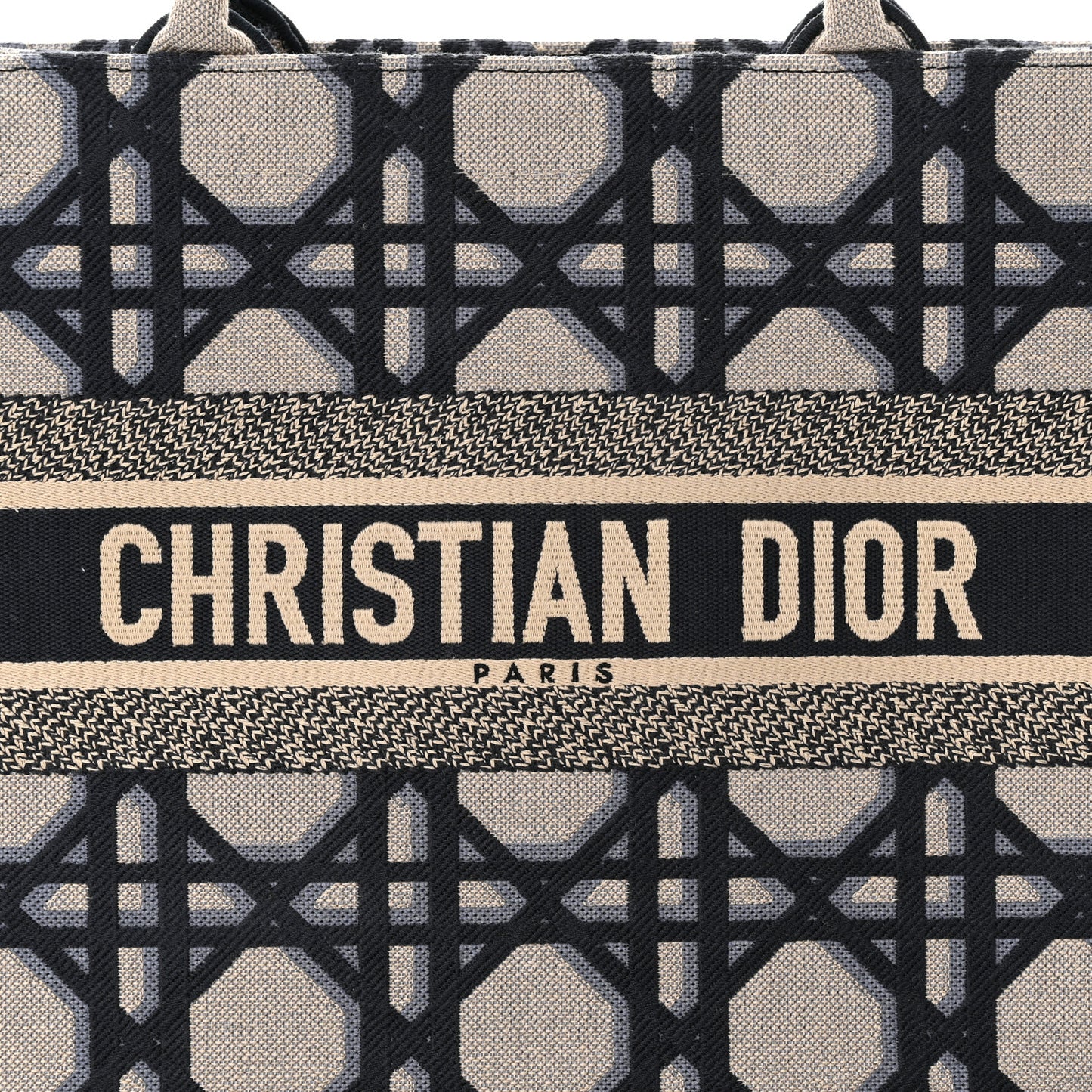 Canvas Macrocannage Embroidered Medium Book Tote Beige Blue