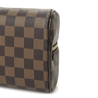 Louis Vuitton Damier Ebene Ribera Mini 8 of 8