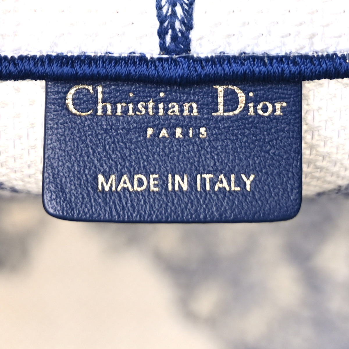 Canvas Embroidered Medium Reve d'Infini Book Tote Blue