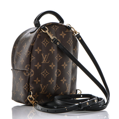 Louis Vuitton Monogram Palm Springs Backpack Mini 3 of 6