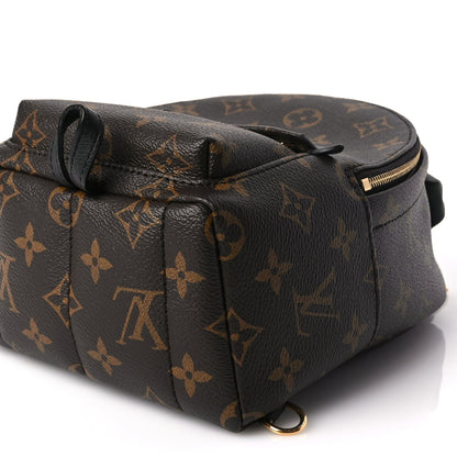 Louis Vuitton Monogram Palm Springs Backpack Mini 8 of 8