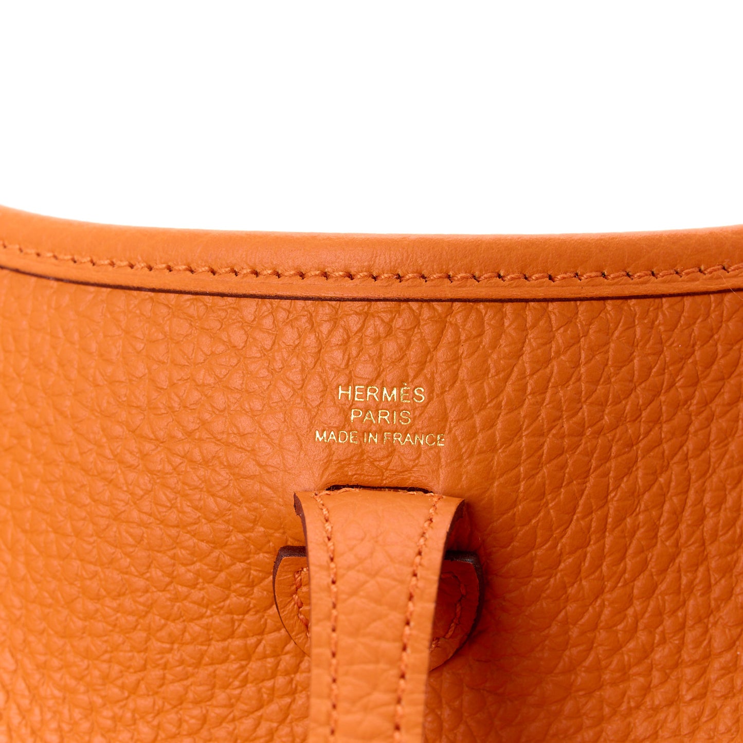 Taurillon Clemence Evelyne TPM Abricot