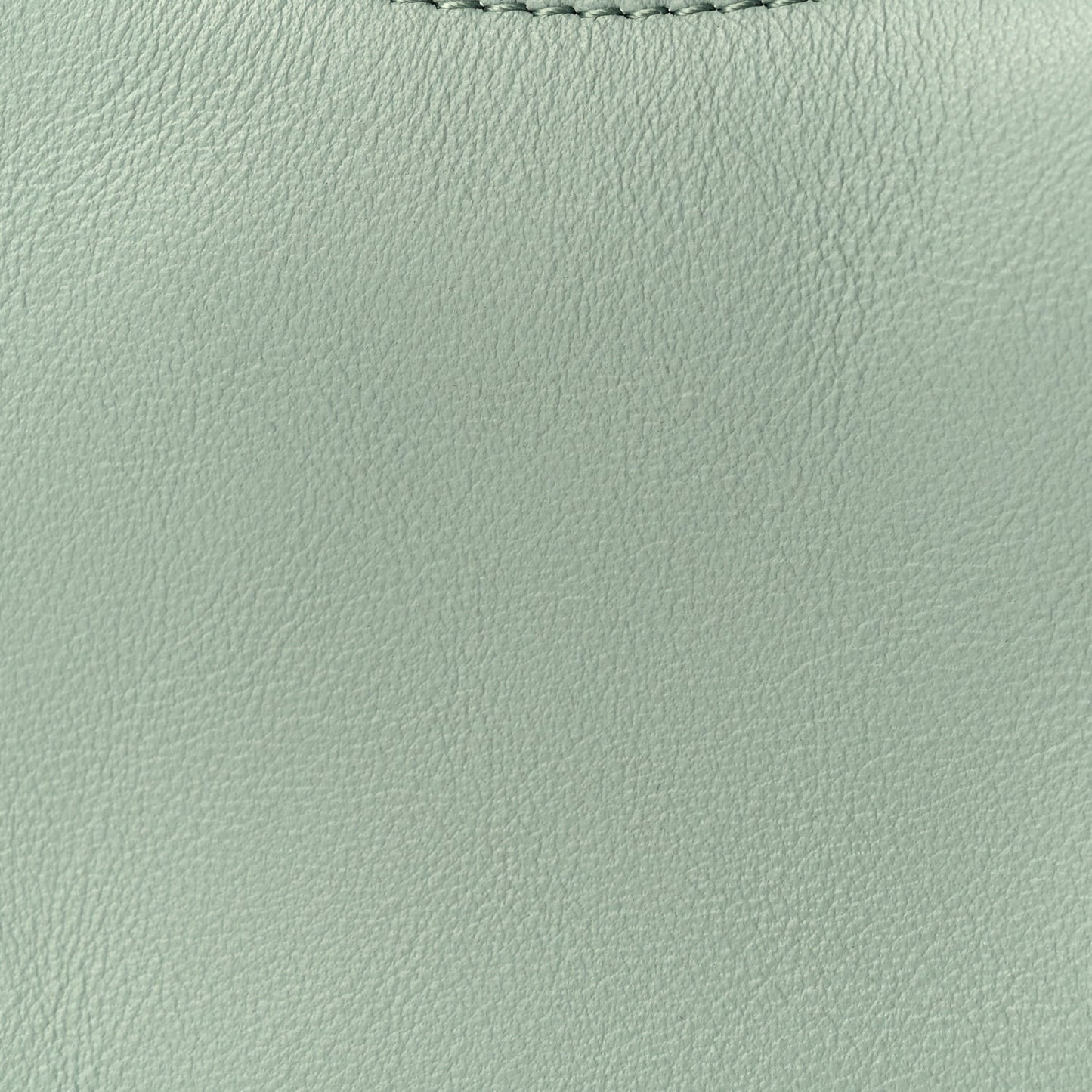 Vitello Grace New Matte Nano graphy Hobo Charm Menta