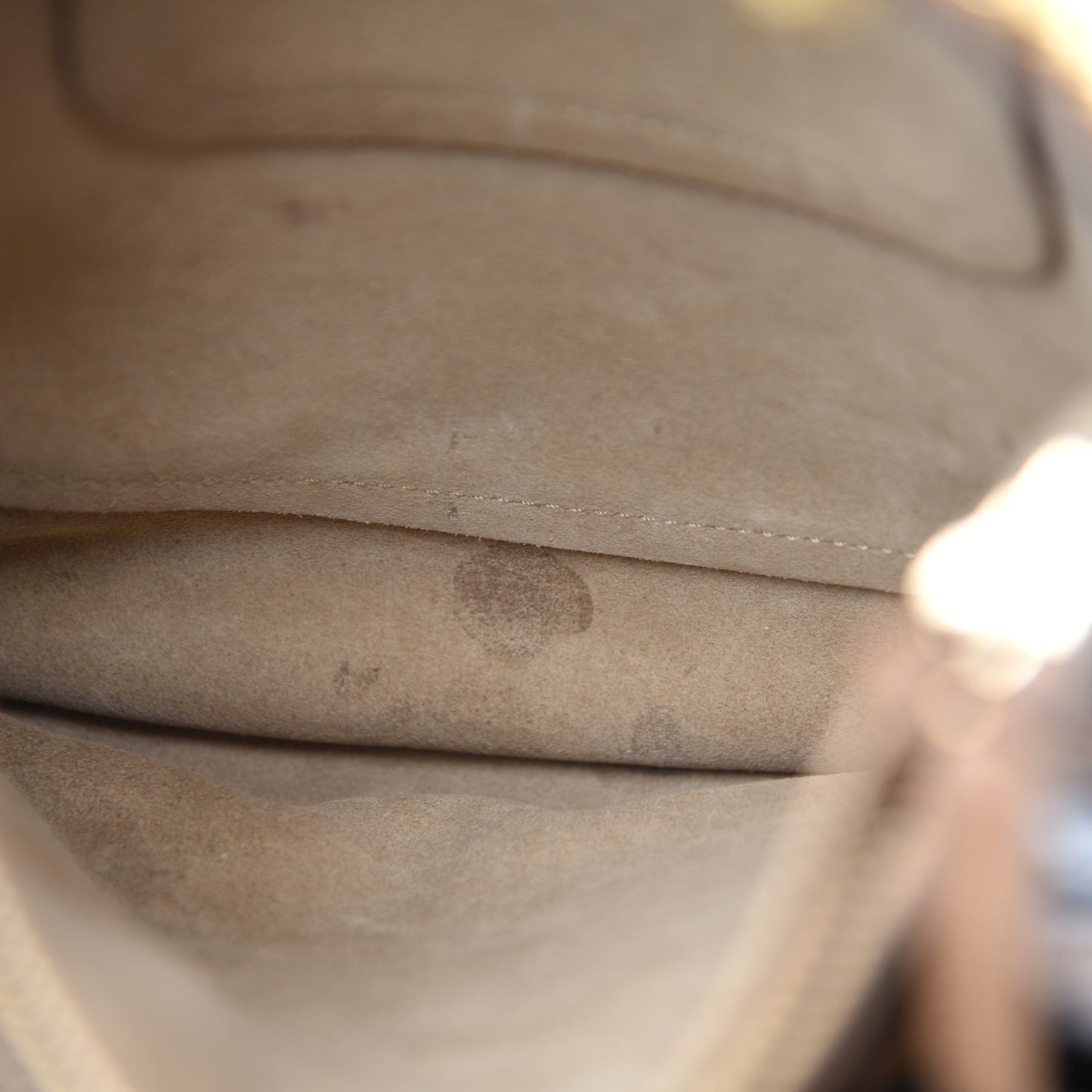 Grained Calfskin Small Hayley Hobo Nut