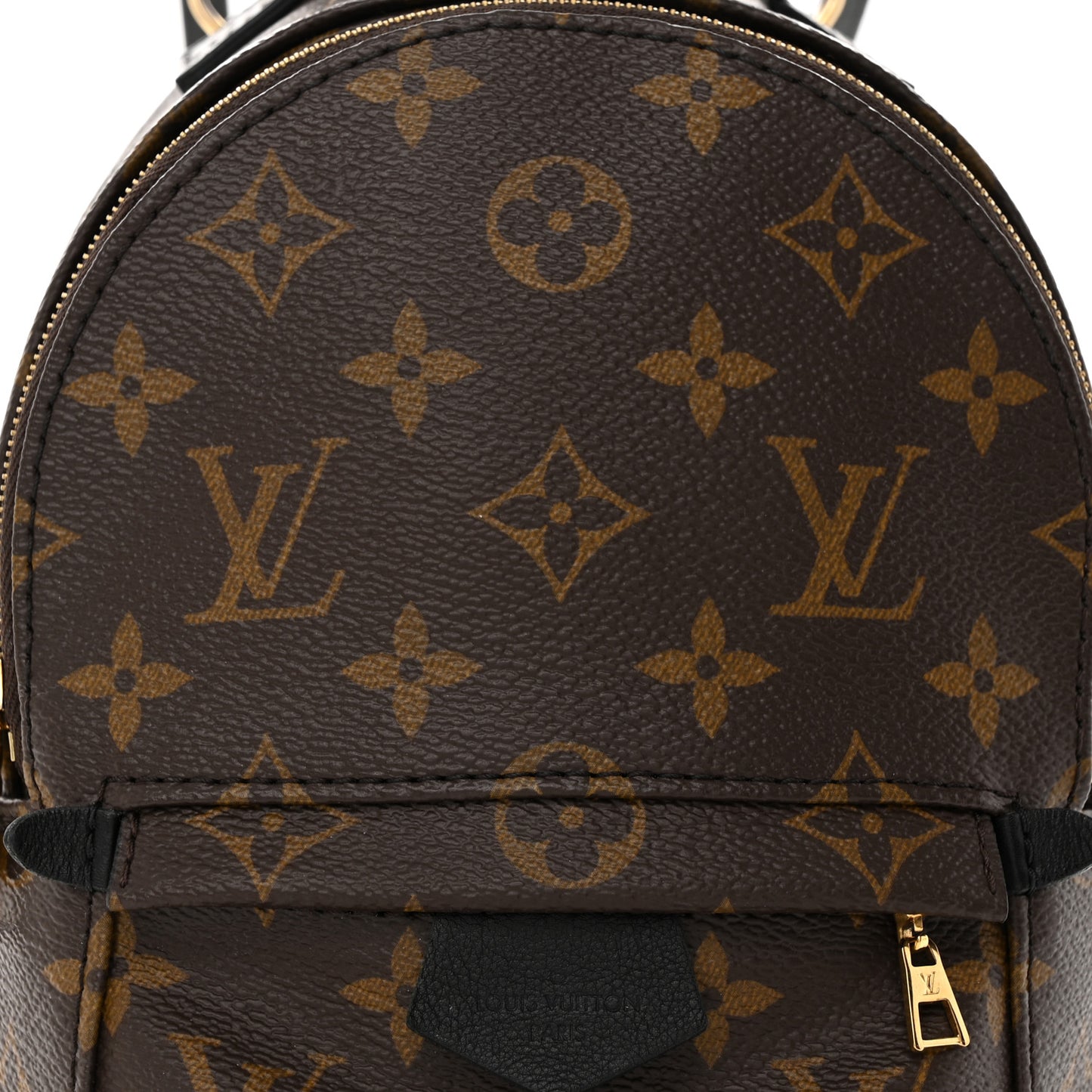 Monogram Palm Springs Backpack Mini