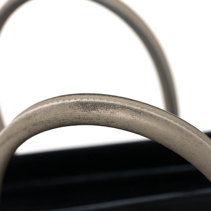 Celine Shiny Smooth Calfskin Micro Tri-Color Luggage Quartz 13 of 15