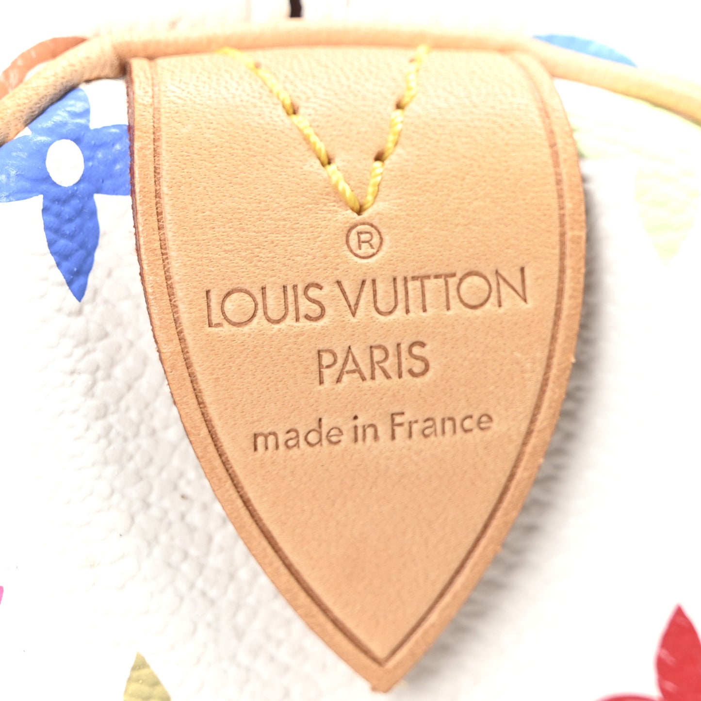 Monogram Multicolor Speedy 30 White