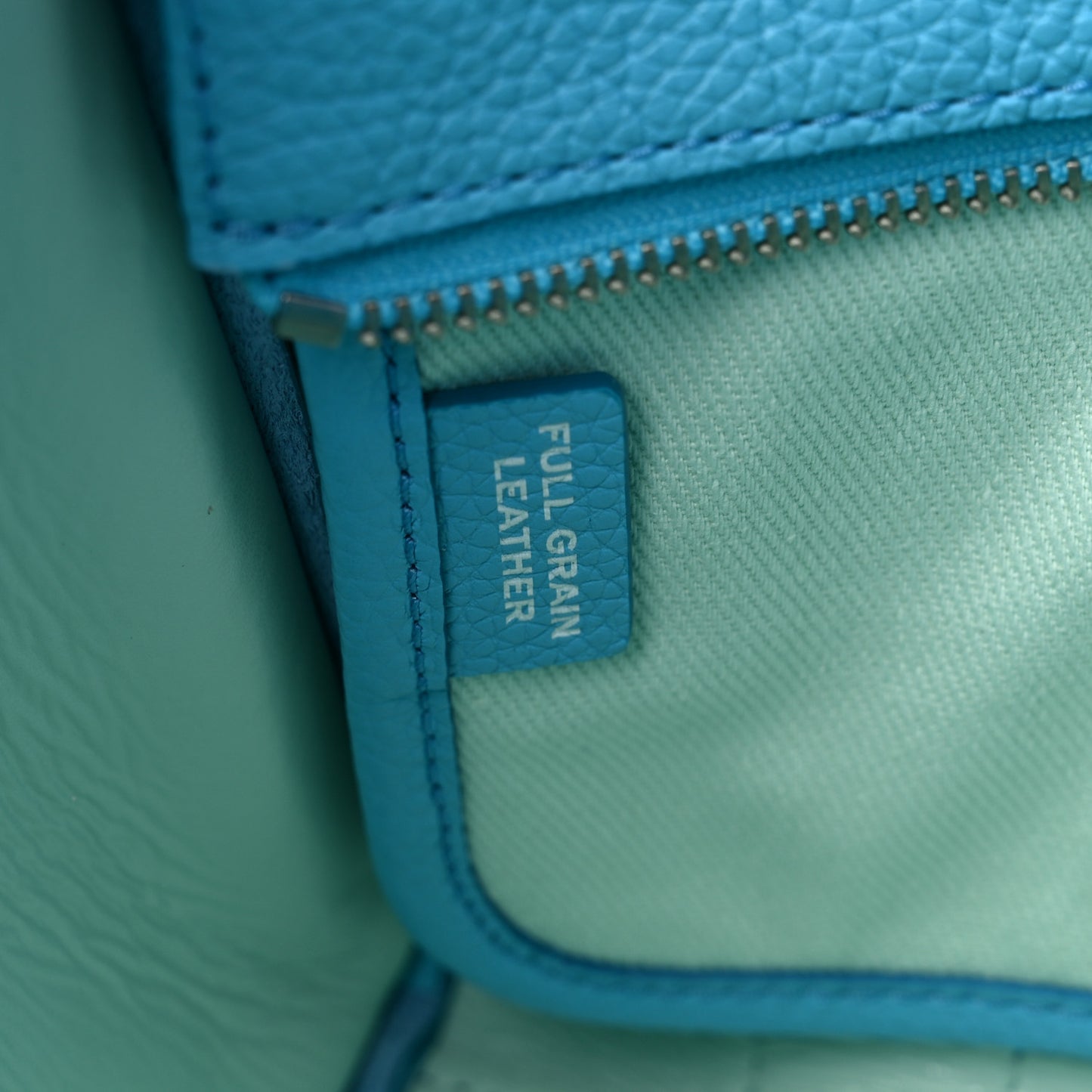 Grained Calfskin Small The Tote Bag Pool