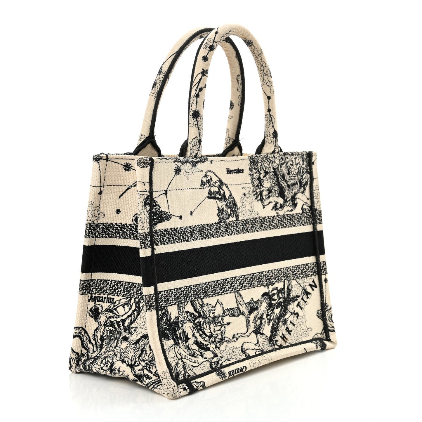 Canvas Embroidered Small Zodiac Toile De Jouy Book Tote Latte