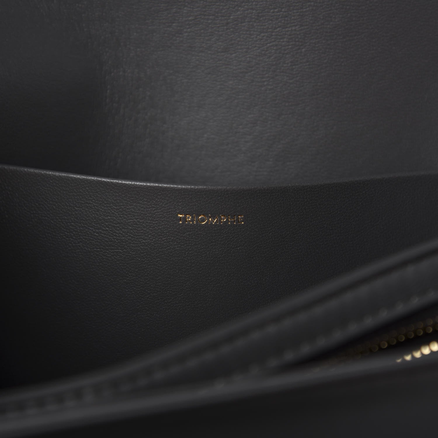 Celine Shiny Calfskin Medium Triomphe Grey 9 of 12