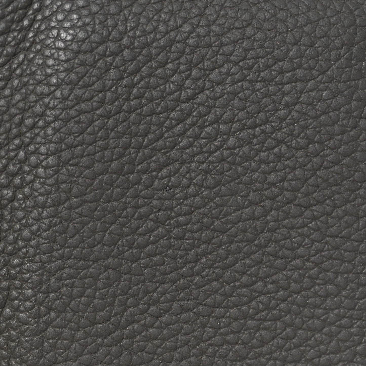 Grained Calfskin Aerogram Pocket Organizer Khaki