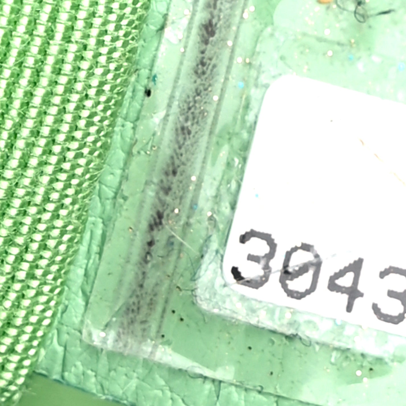 Goatskin Quilted Maxi Chanel 19 Flap Green