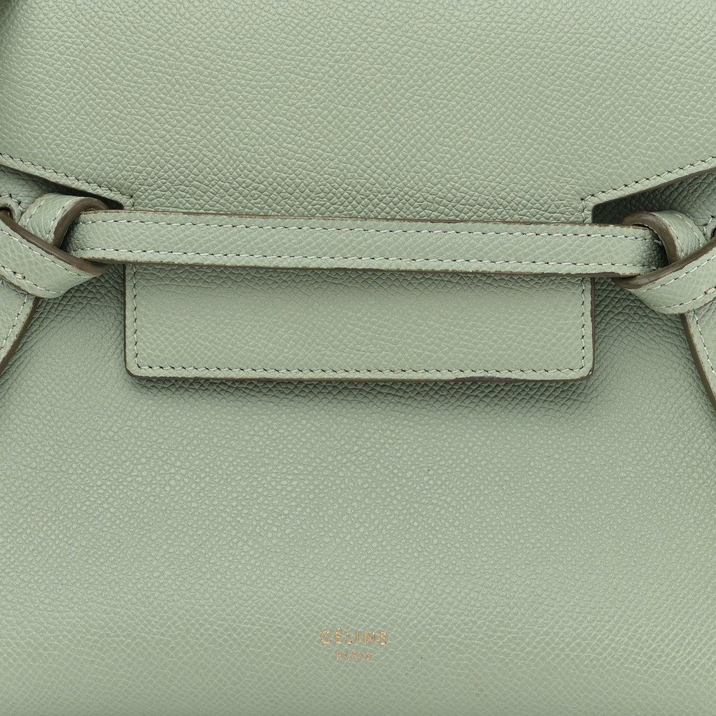 Grained Calfskin Nano Belt Bag Jade