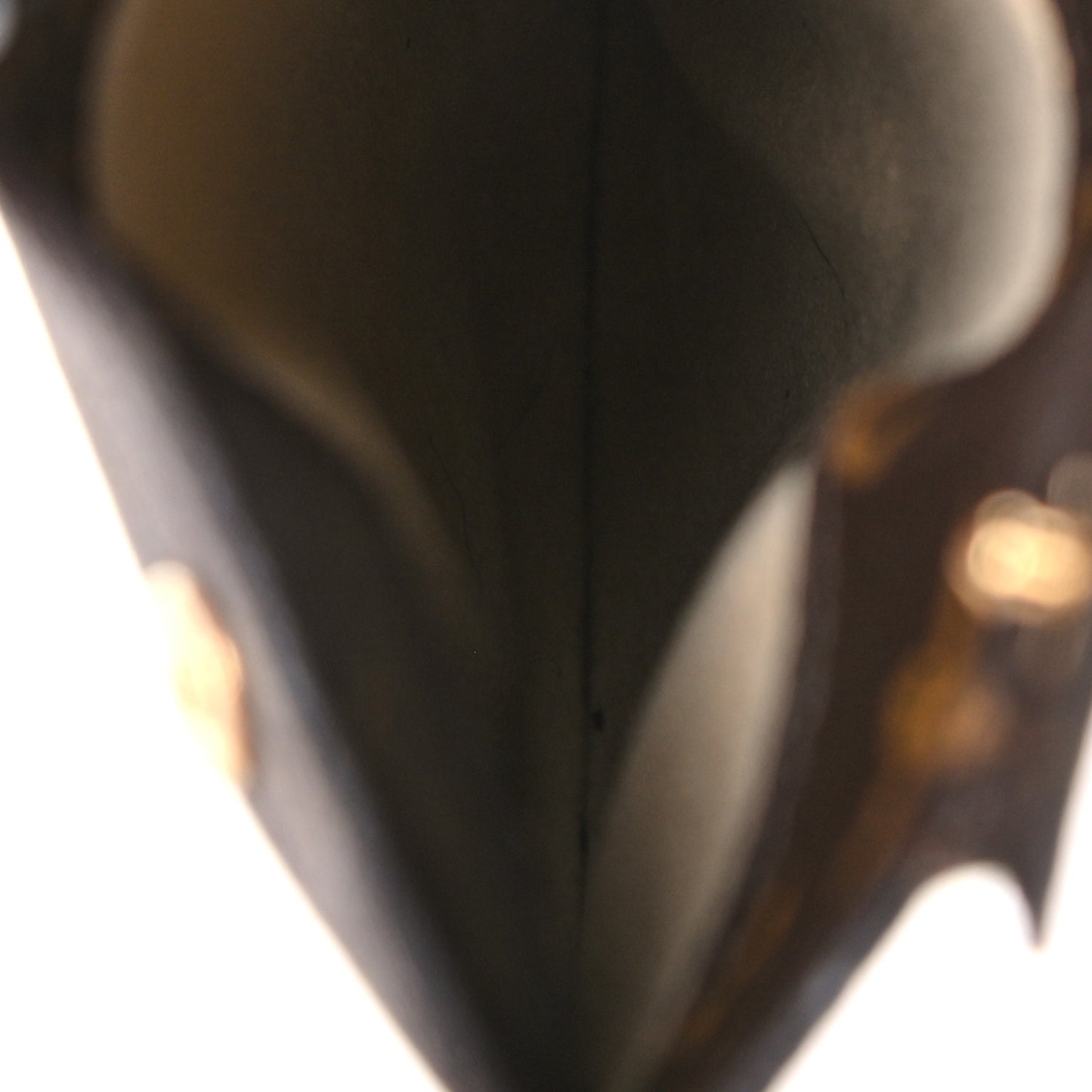 Monogram Sunglasses Case MM