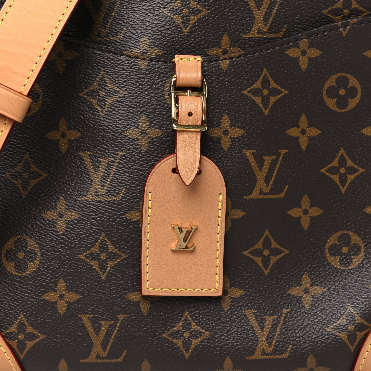 Louis Vuitton Monogram Odeon PM Natural 7 of 7