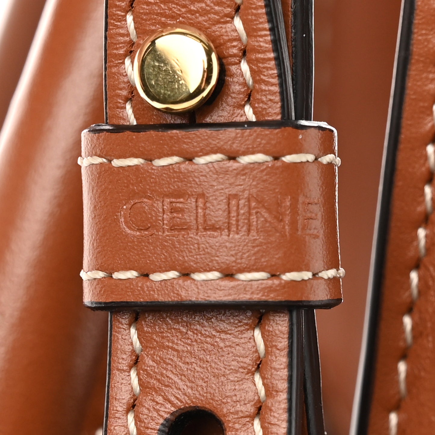 Triomphe Canvas Calfskin Mini Vertical Cabas Tan