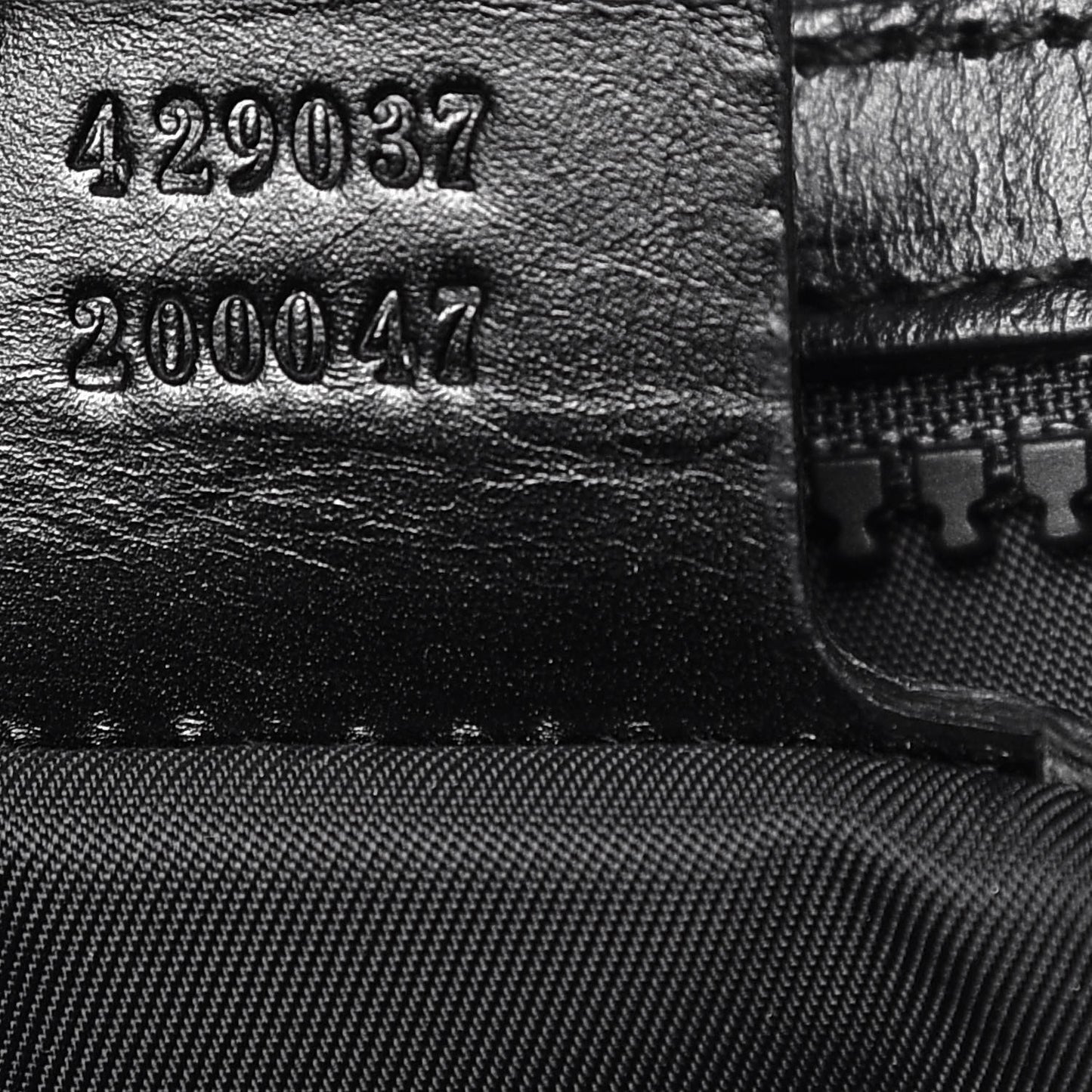 Techno Canvas Web L'Aveugle Par Amour Embroidered Double Buckle Backpack Black