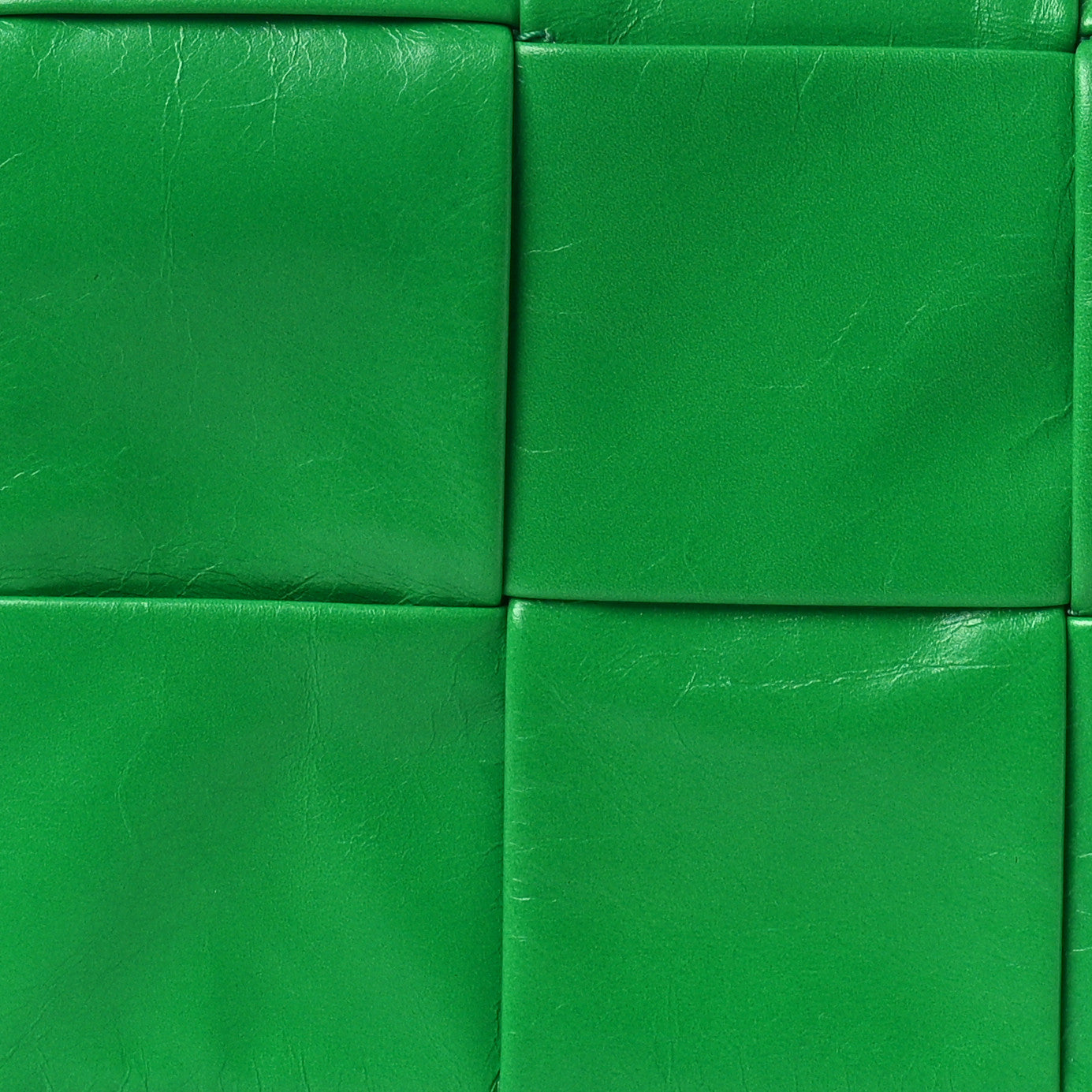 Paper Calfskin Intreccio Cassette Belt Bag Parakeet