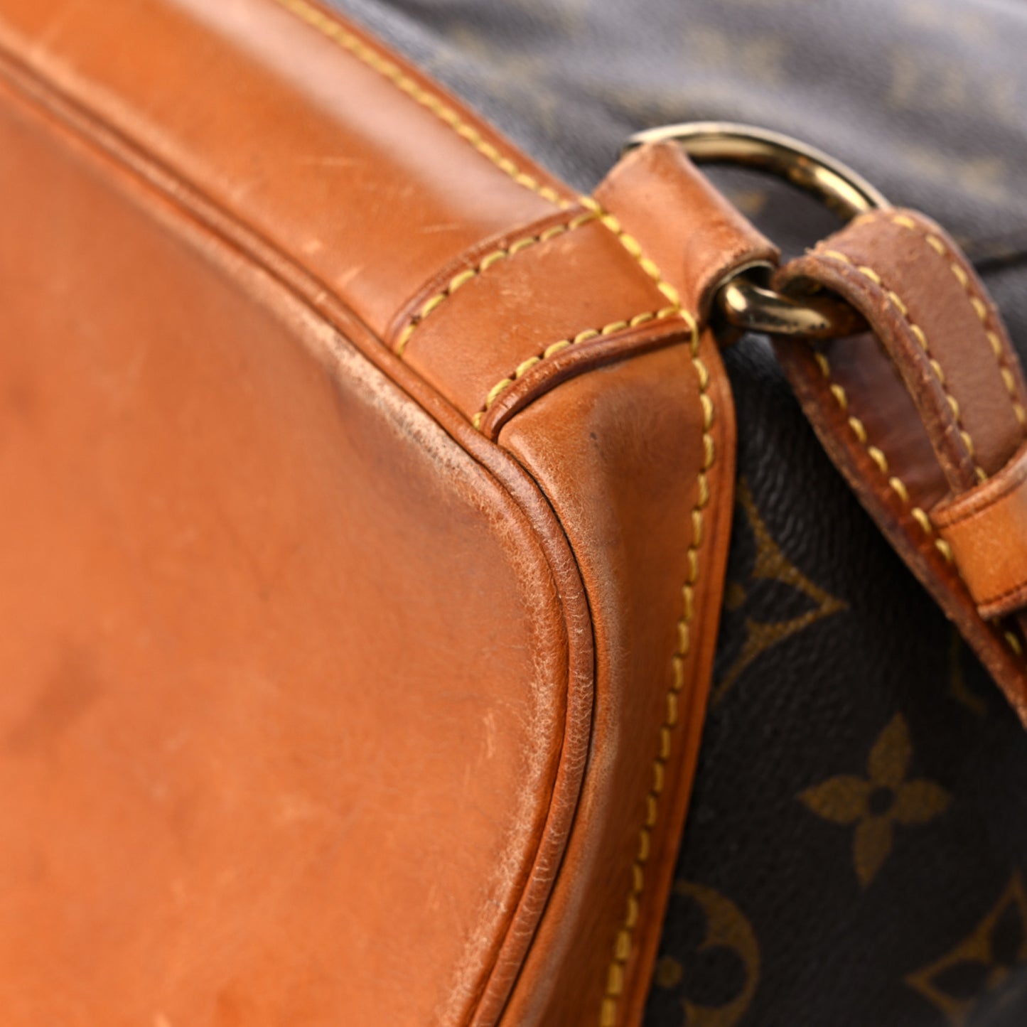 Monogram Montsouris GM Backpack