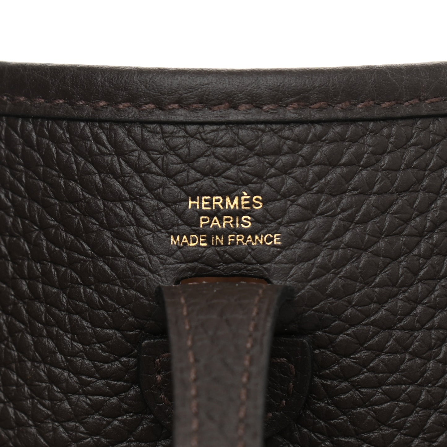 Taurillon Clemence Evelyne TPM Chocolate