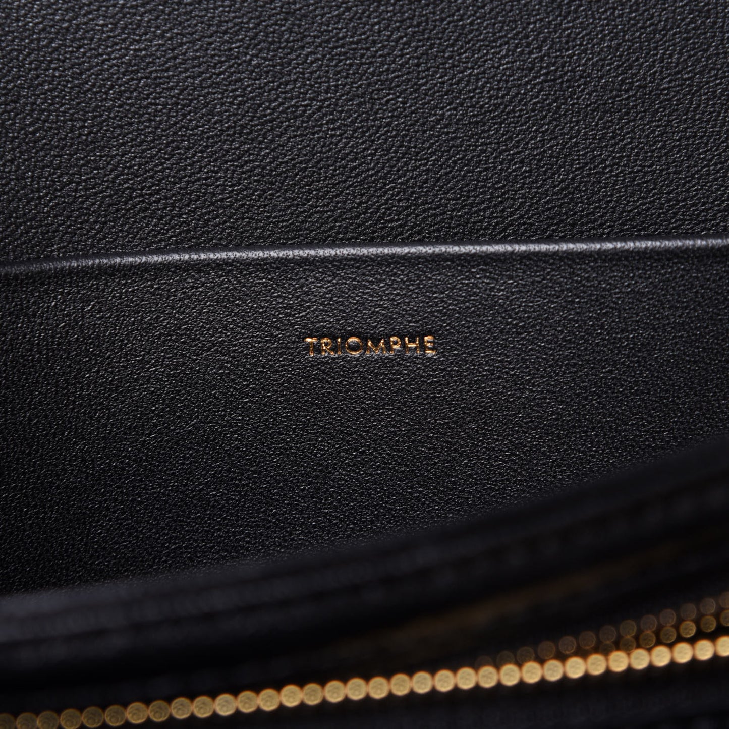 Shiny Calfskin Medium Triomphe Black