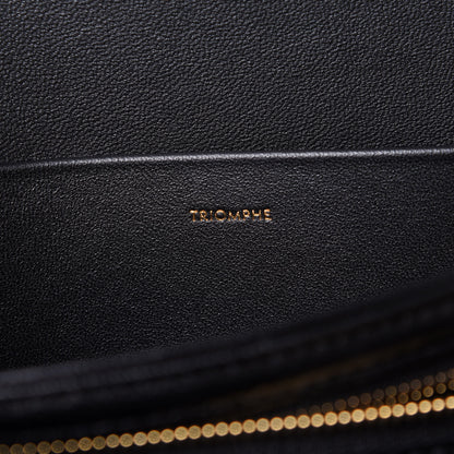 Celine Shiny Calfskin Medium Triomphe Black 7 of 12