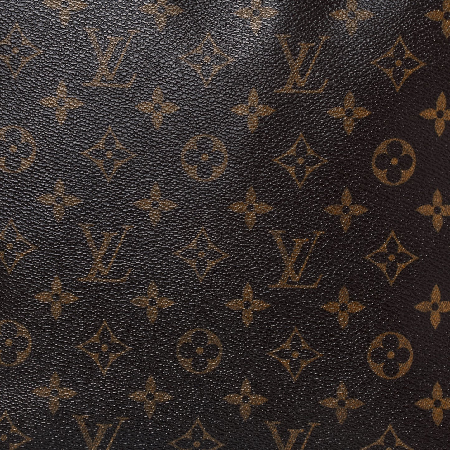 Monogram Cabas Mezzo