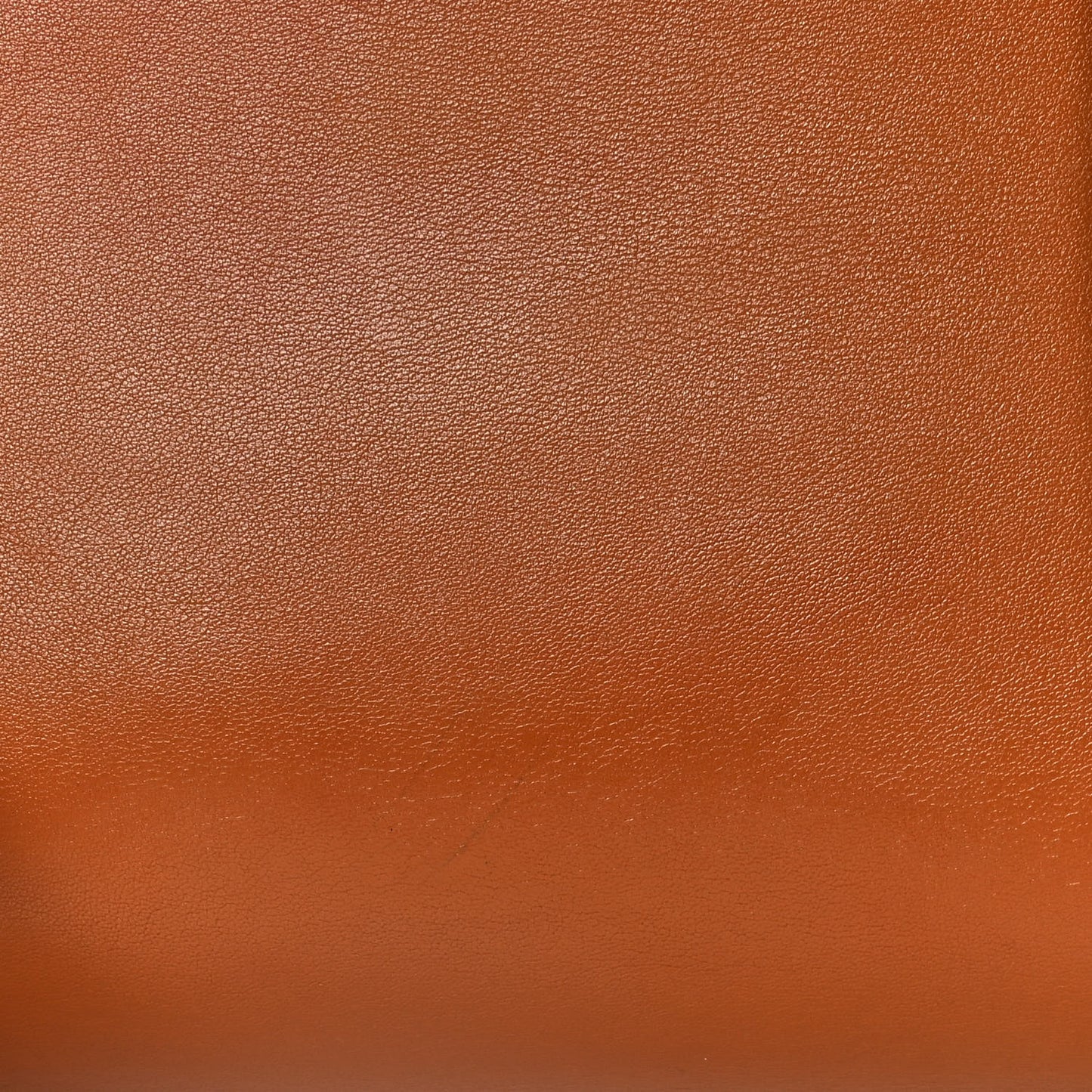 Swift Sherpa Backpack Gold