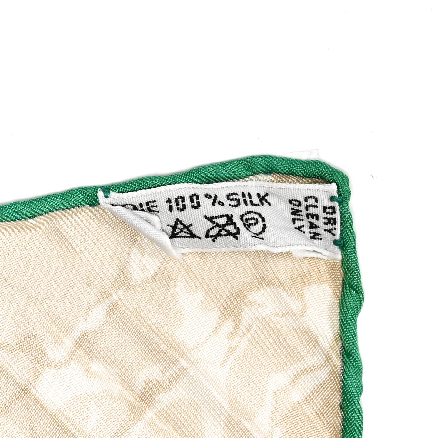 Silk Carpe Diem Scarf 90