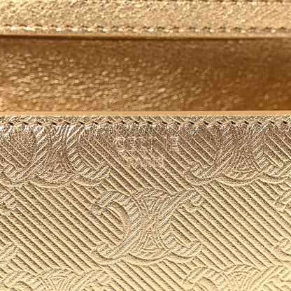 Celine Metallic Triomphe Wallet on Chain 5 of 8