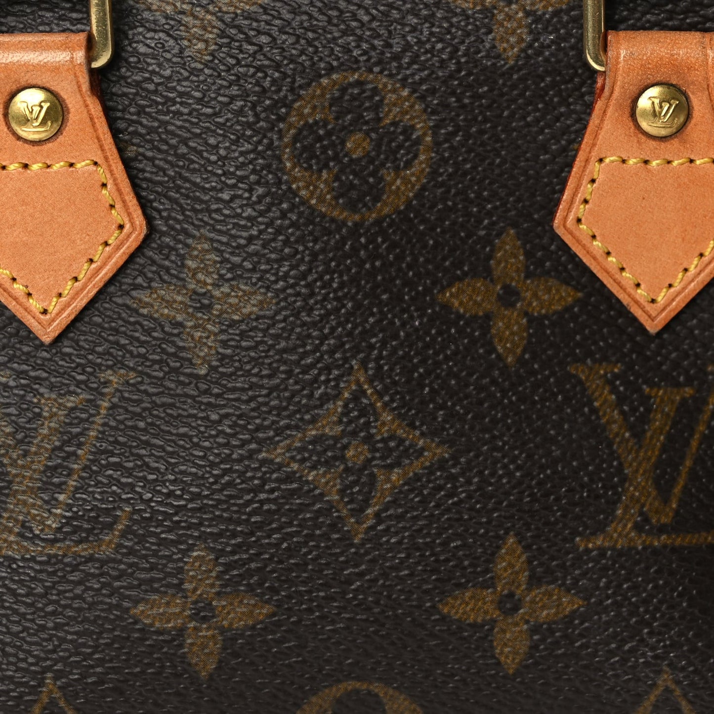 Monogram Nano Speedy
