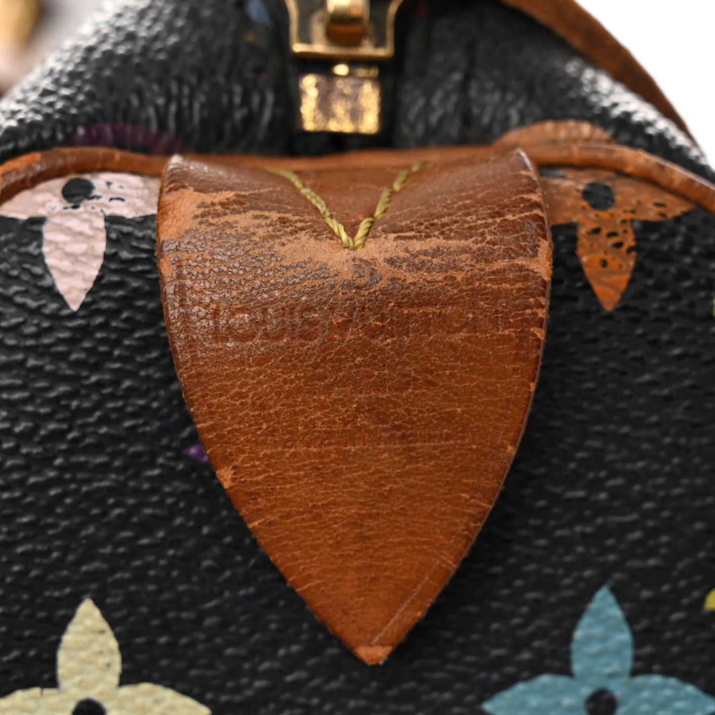 Monogram Multicolor Speedy 30 Black