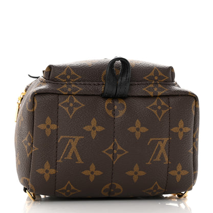 Louis Vuitton Monogram Palm Springs Backpack Mini 4 of 10