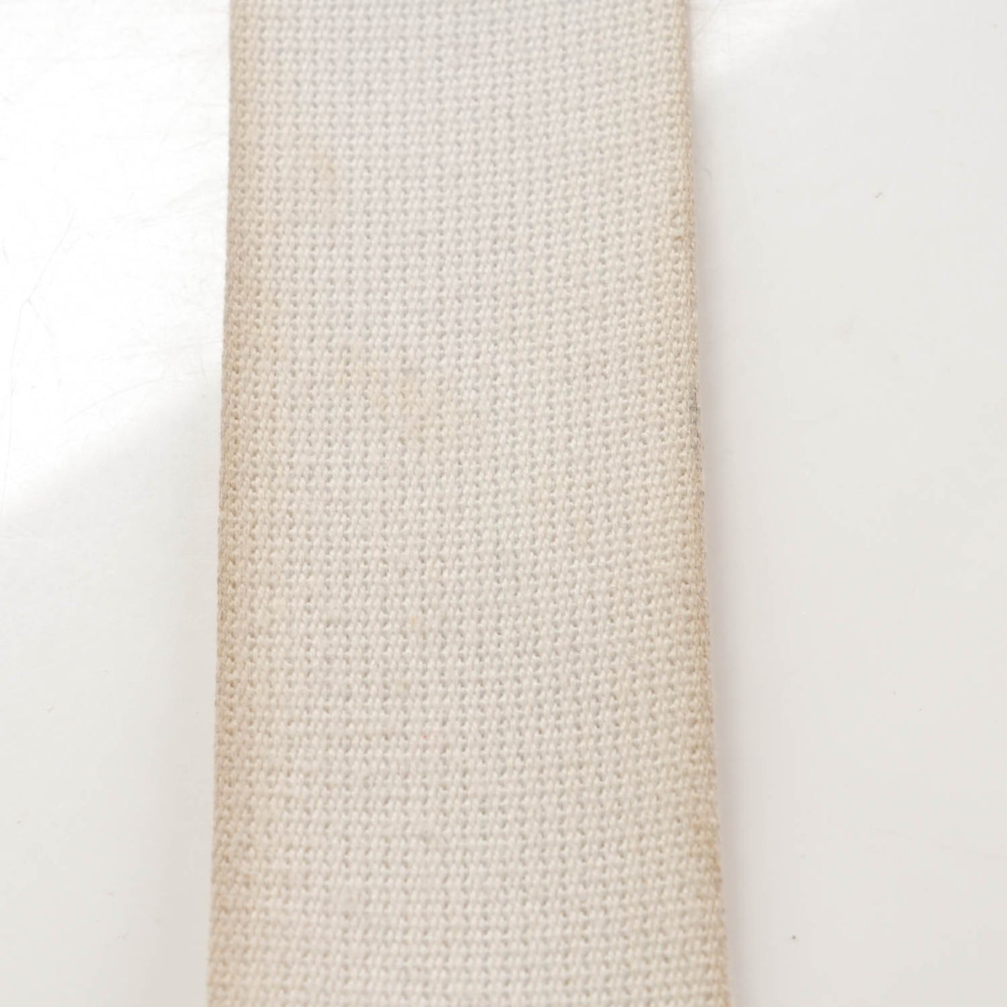 Taurillon Clemence Evelyne II GM White