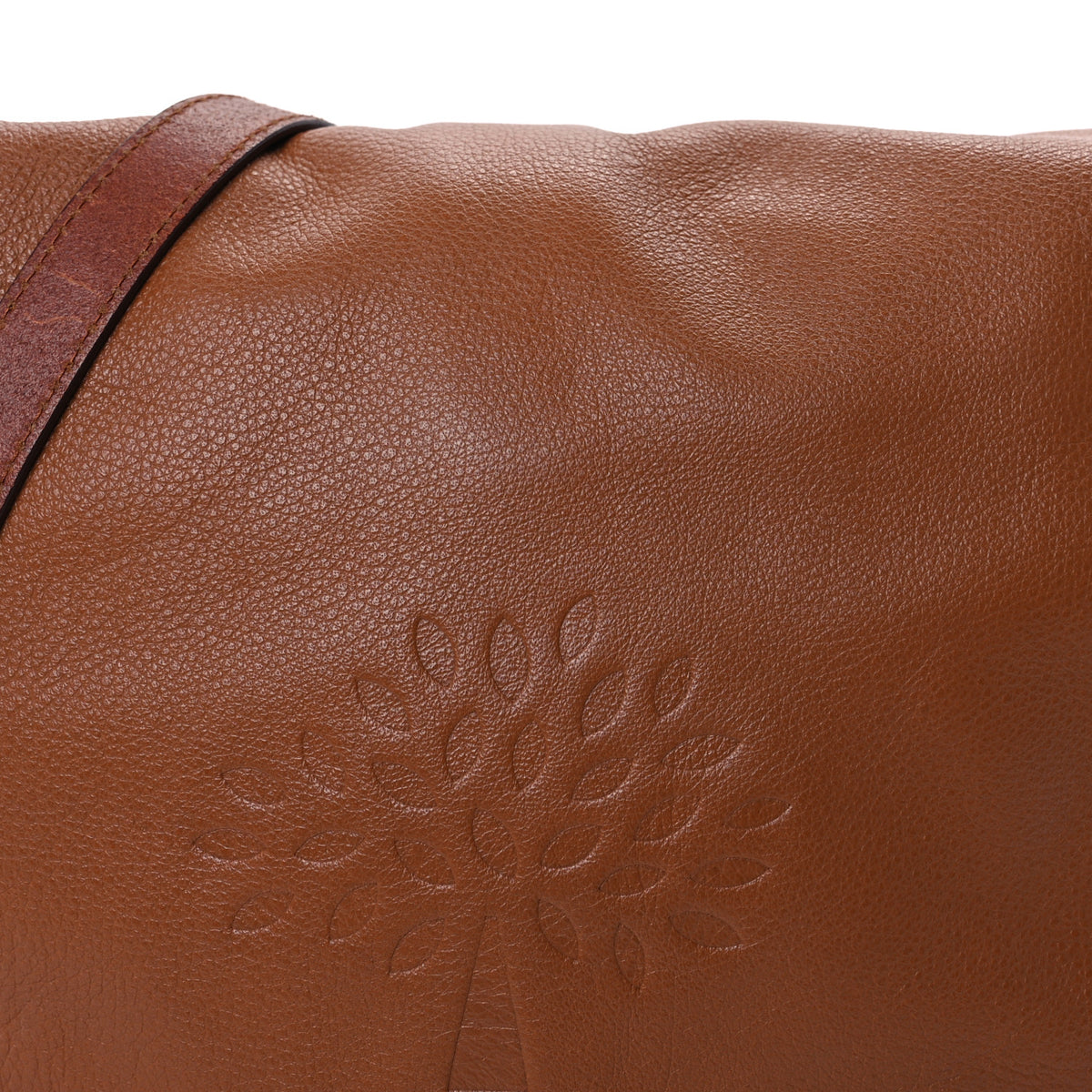 Grained Calfskin Effie Satchel Oak