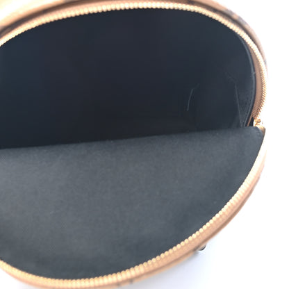 Louis Vuitton Reverse Monogram Palm Springs Backpack Mini 5 of 9