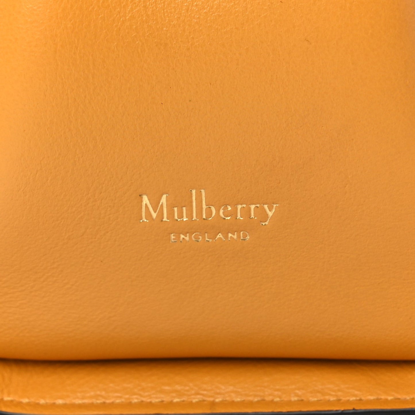 Calfskin Canvas Print Small Iris Tote  Deep Amber