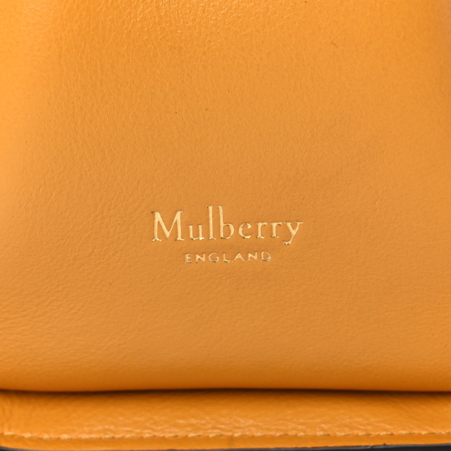 Mulberry Calfskin Canvas Print Small Iris Tote  Deep Amber 5 of 8