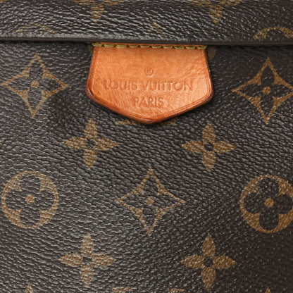 Louis Vuitton Monogram Bumbag 6 of 8