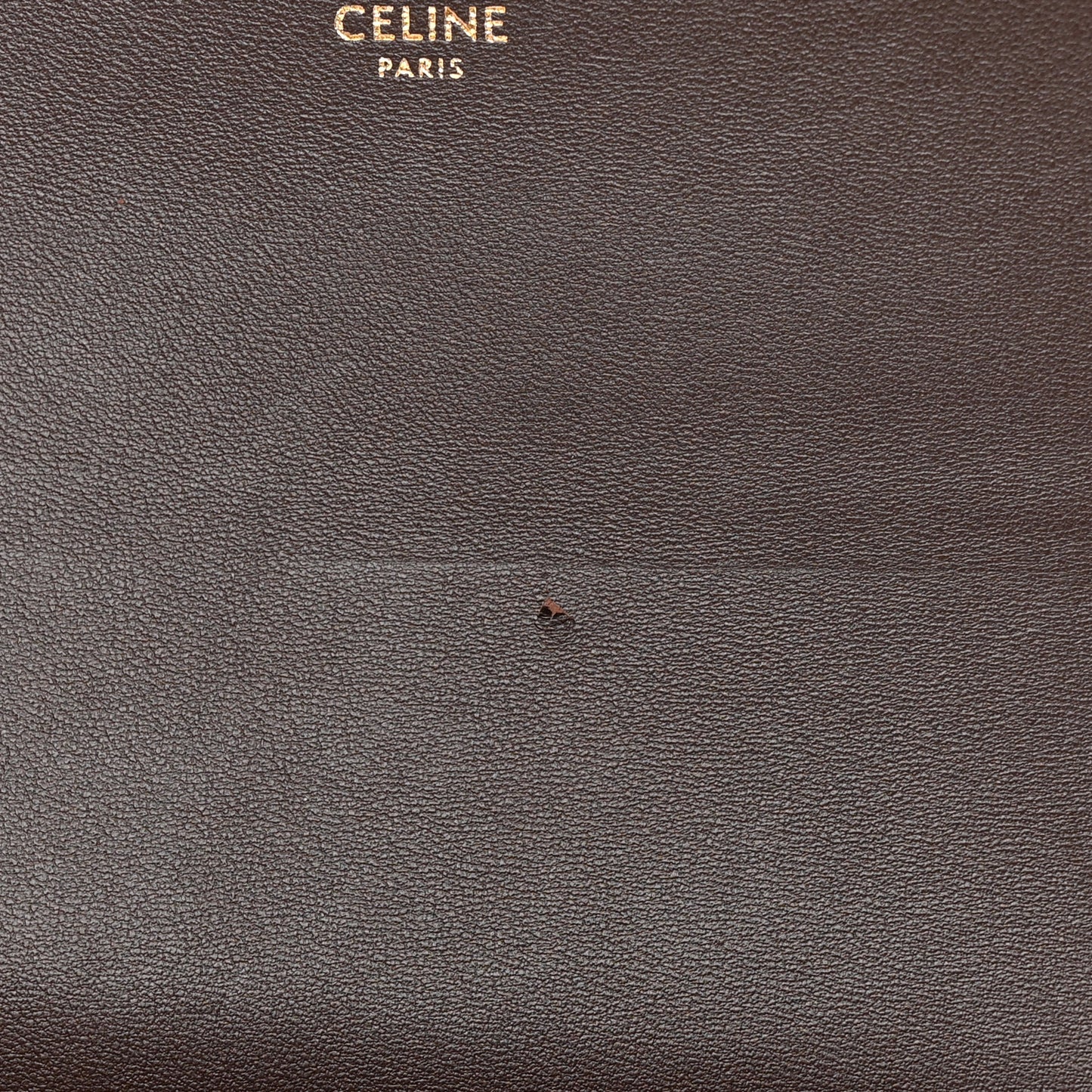 Watersnake Teen Triomphe Brown