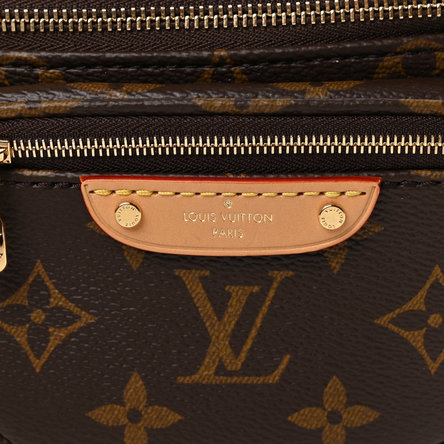 Monogram Mini Bum Bag  Monogram