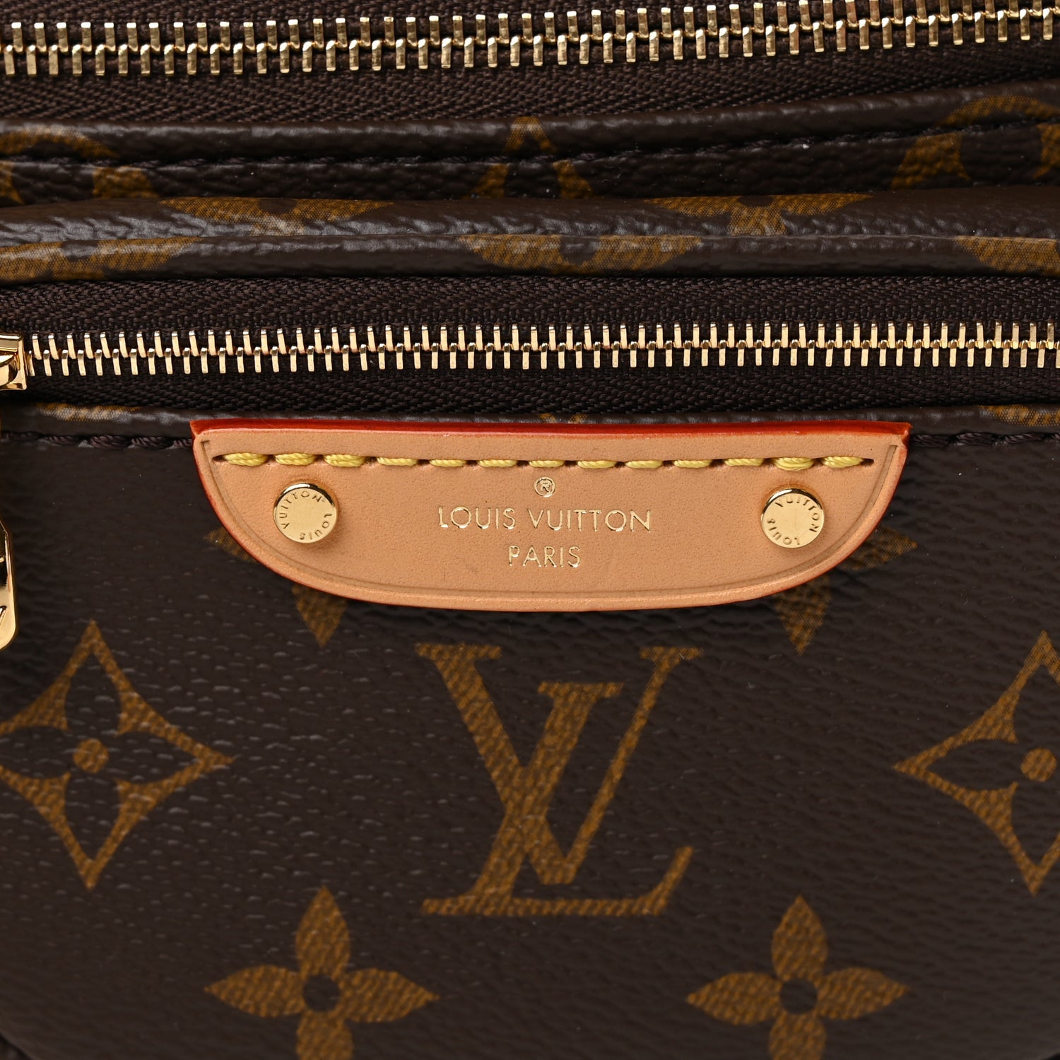 Louis Vuitton Monogram Mini Bum Bag  Monogram 6 of 9
